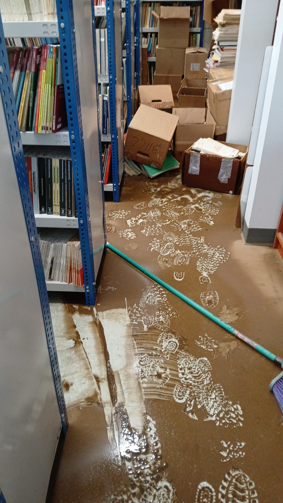 Inundación biblioteca